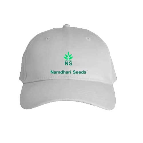 Caps-1